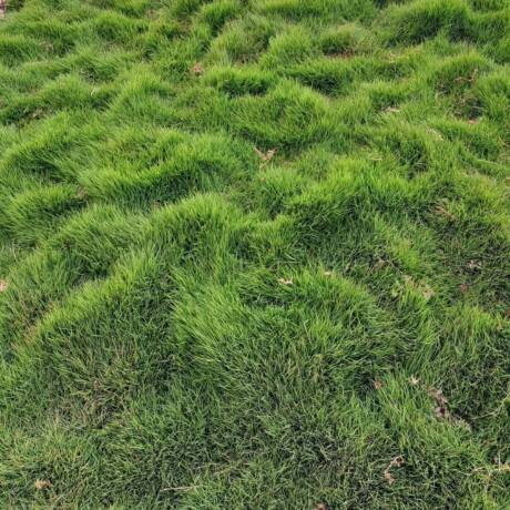 IMG-20250706-WA0007[1]