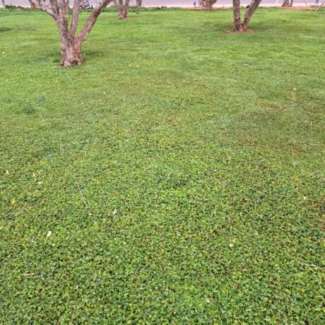 IMG-20250706-WA0012[1]