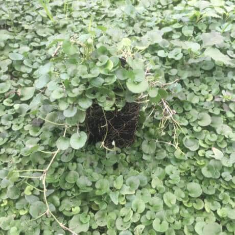 IMG-20250706-WA0015[1]