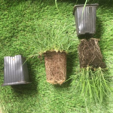 WhatsApp Image 2025-06-13 à 15.44.42_ef4a6a20