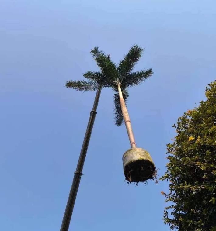 IMG-20240819-WA0006 (2)